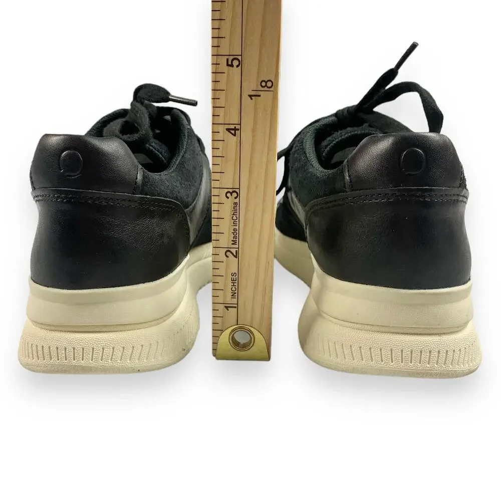 Everlane new out